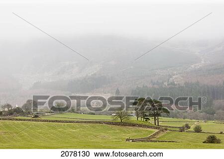 Stock Image - Fog Over A Landscape; Dumfries Scotland. Fotosearch