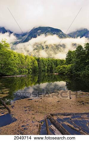 Picture - Fog Over Pond And Mountains At Sunrise, Northern British Columbia.. Fotosearch