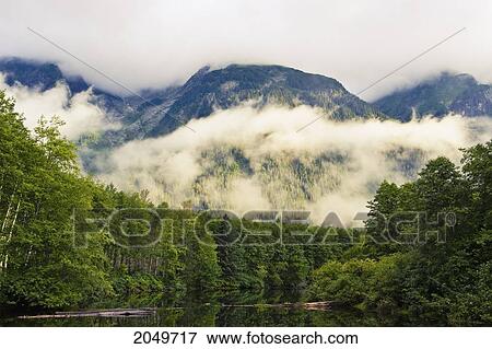 Stock Photo - Fog Over Pond And Mountains At Sunrise, Northern British Columbia. Fotosearch