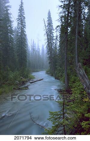 Fog Over The Emerald River, Yoho National Park, British Columbia View Large Photo Image Picture - Fog Over The Emerald River, Yoho National Park, British Columbia. Fotosearch