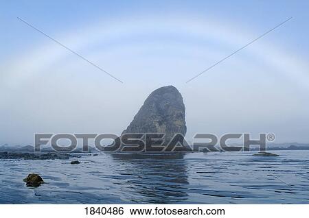 Fogbow On Olympic Coast; Olympic National Park, Washington State, Usa View Large Photo Image Stock Photograph - Fogbow On Olympic Coast; Olympic National Park, Washington State, Usa. Fotosearch