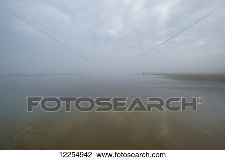 Foggy morning along the coast; Oregon, United States of America View Large Photo Image Stock Image - Foggy morning along the coast; Oregon, United States of America. Fotosearch