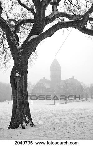 Stock Photography - Foggy Winter Day, Assiniboine Park And Pavilion, Winnipeg, Manitoba. Fotosearch