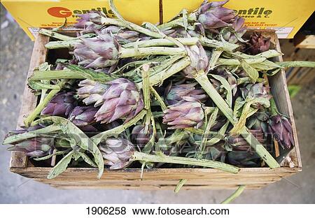 Stock Photo - Food: Artichokes At The Rialto Food Market. Venice, Italy.. Fotosearch