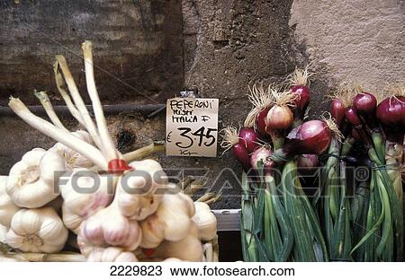 Food: Garlic And Shallots / Onions At A Market Stall On Via Clavature, Bologna, Italy View Large Photo Image Stock Image - Food: Garlic And Shallots / Onions At A Market Stall On Via Clavature, Bologna, Italy. Fotosearch