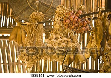 Food Ingredients; Tong Luang Village, Chiang Mai, Thailand View Large Photo Image Stock Image - Food Ingredients; Tong Luang Village, Chiang Mai, Thailand. Fotosearch