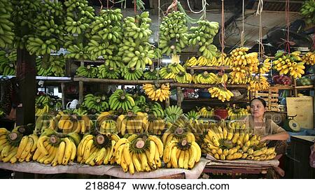 Food Market Hanoi Vietnam View Large Photo Image Stock Photo - Food Market Hanoi Vietnam. Fotosearch