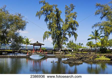 Stock Photograph - Footbridge over Waihonu Pond in Liliuokalani Gardens; Hilo, Island of Hawaii, Hawaii, United States of America. Fotosearch