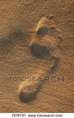 Stock Image - Footprint In Sand, Close Up. Fotosearch