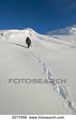 Stock Photo - Footprints and walker going through heavy snow on Beinn Respiol, Ardnamurchan peninsula; Highlands, Scotland. Fotosearch