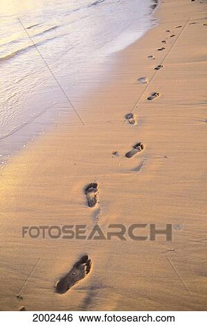 Footprints In Sand Along Shoreline With Sunset Lighting View Large Photo Image Stock Photograph - Footprints In Sand Along Shoreline With Sunset Lighting. Fotosearch