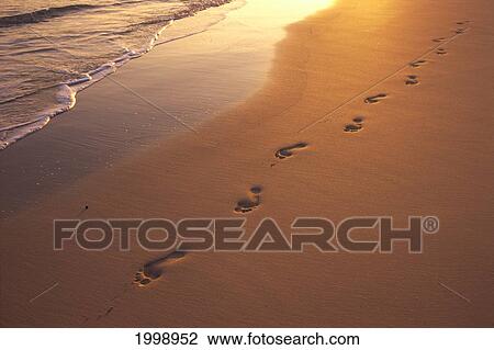 Stock Image - Footprints In Sand At Sunset, Shoreline Water B1452. Fotosearch