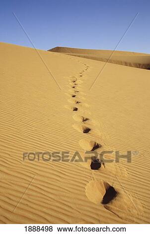 Footprints In Sand Dune, Ubari Sand Sea View Large Photo Image Stock Photo - Footprints In Sand Dune, Ubari Sand Sea. Fotosearch