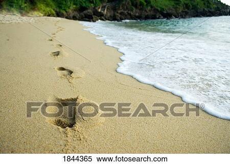 Footprints In Sand On Beach; Mexico View Large Photo Image Stock Photography - Footprints In Sand On Beach; Mexico. Fotosearch