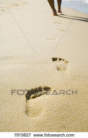 Footprints In Sand View Large Photo Image Stock Photo - Footprints In Sand. Fotosearch