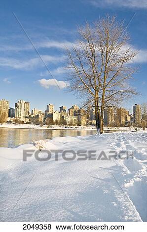 Footprints In Snow With The Skyline In The Background, Vancouver, British Columbia View Large Photo Image Stock Photo - Footprints In Snow With The Skyline In The Background, Vancouver, British Columbia. Fotosearch