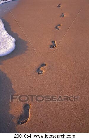 Picture - Footprints In The Sand Along Shoreline, Golden Afternoon Light Whitewash. Fotosearch