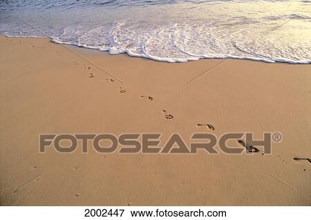 Footprints In The Sand Along Shoreline Whitewash View Large Photo Image Stock Photo - Footprints In The Sand Along Shoreline Whitewash. Fotosearch