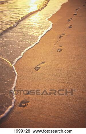 Footprints In The Sand At Sunset, Shoreline Waters View Large Photo Image Stock Photo - Footprints In The Sand At Sunset, Shoreline Waters. Fotosearch