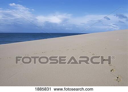 Footprints In The Sand Of A Beach, Close Up View Large Photo Image Stock Image - Footprints In The Sand Of A Beach, Close Up. Fotosearch