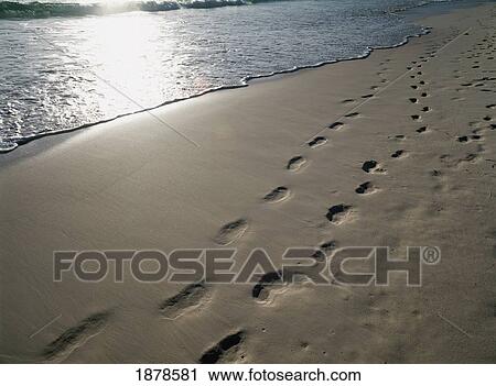 Stock Image - Footprints In The Sand On Pink Beach With Waves Lapping Shore, Close Up. Fotosearch