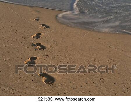 Stock Image - Footprints In The Sand, Virgin Gorda. Fotosearch