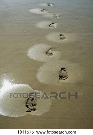 Stock Photography - Footprints In The Wet Sand On Beach Near Sedgefield, On The Garden Route, South Africa.. Fotosearch