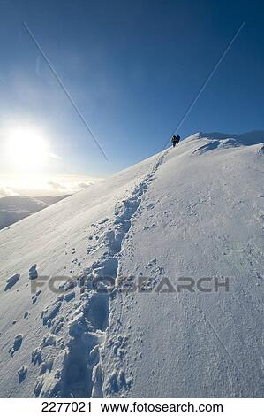 Stock Image - Footprints left by walkers climbing the snowy ridge of Sgorr Dhearg in winter near Glen Coe; Highlands, Scotland. Fotosearch