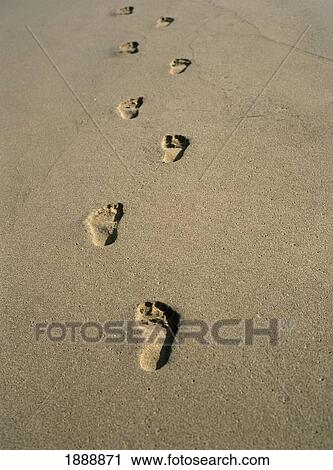 Footprints On Beach, Close Up View Large Photo Image Stock Image - Footprints On Beach, Close Up. Fotosearch