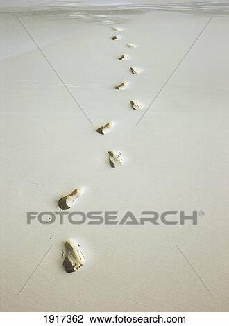 Stock Image - Footprints On Beach. Fotosearch