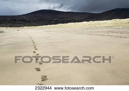 Footprints on Derrynane Beach; County Kerry, Ireland, UK View Large Photo Image Picture - Footprints on Derrynane Beach; County Kerry, Ireland, UK. Fotosearch