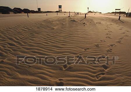 Footprints On Sand At Sunset View Large Photo Image Picture - Footprints On Sand At Sunset. Fotosearch
