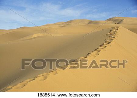 Footprints On Sand Dune View Large Photo Image Picture - Footprints On Sand Dune. Fotosearch
