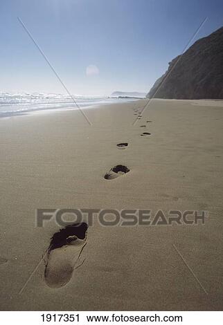 Footprints On Sandy Beach View Large Photo Image Stock Image - Footprints On Sandy Beach. Fotosearch