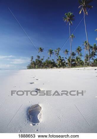 Stock Image - Footprints On The Beach Near Paje On The East Coast Of Zanzibar. Fotosearch