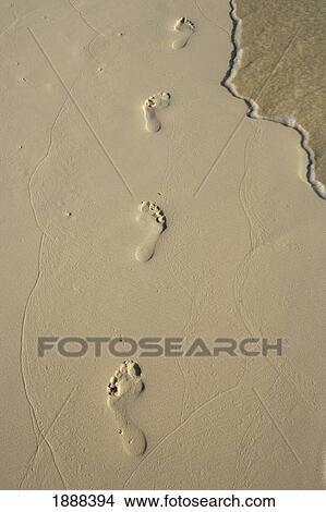 Picture - Footprints On The Beach.. Fotosearch