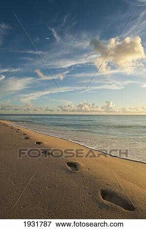 Stock Photo - Footsteps On Brighton Beach At Dusk, Barbados; Barbados. Fotosearch
