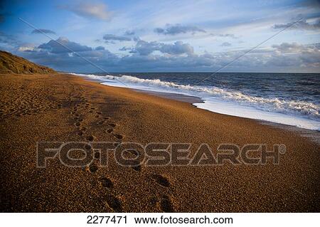 Stock Image - Footsteps on the sand of the rugged Dorset coastline on Chesil beach; Dorset, England. Fotosearch