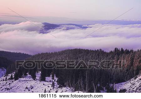 Forest In Winter Time View Large Photo Image Stock Photography - Forest In Winter Time. Fotosearch