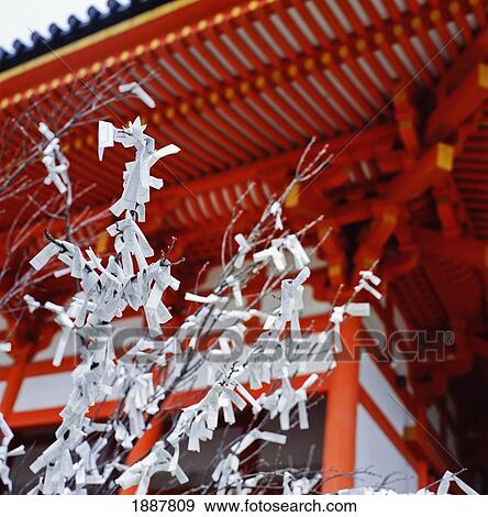 Fortune-Telling Omikuji Papers Tied To A Tree At Heian Shrine View Large Photo Image Stock Photo - Fortune-Telling Omikuji Papers Tied To A Tree At Heian Shrine. Fotosearch