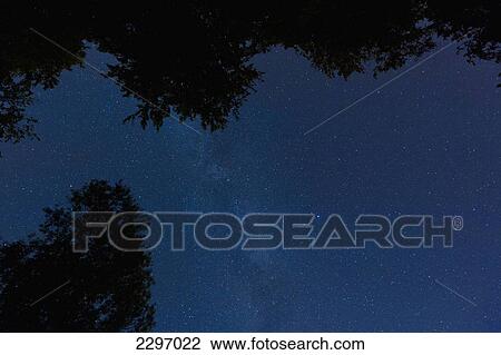 France, Normandy, Clear starry sky over forest; Le Brevedent View Large Photo Image Stock Image - France, Normandy, Clear starry sky over forest; Le Brevedent. Fotosearch