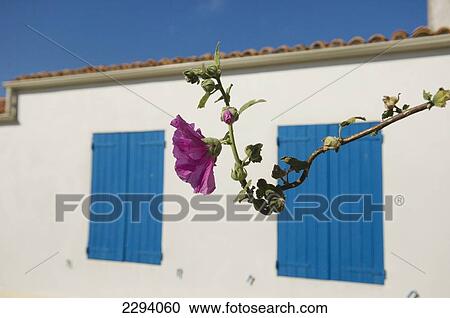 Stock Image - France, Poitou-Charentes, D'Aix Island's residential structure; Charente-Maritime. Fotosearch