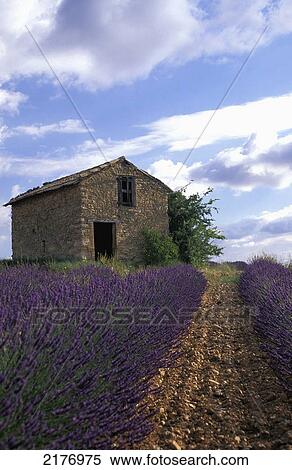 France, Provence. View Large Photo Image Stock Photography - France, Provence.. Fotosearch
