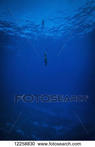 Stock Image - Free diving; Niue. Fotosearch