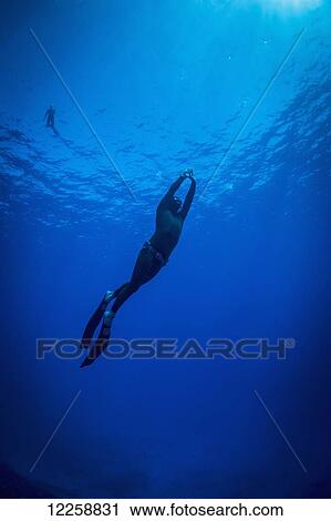 Stock Image - Free diving; Niue. Fotosearch