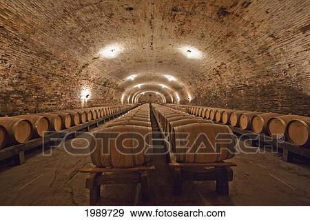Stock Photo - French oak barrels in the historic cellar of Vina Cousino Macul winery, Santiago, Metropolitan Region, Chile. Fotosearch