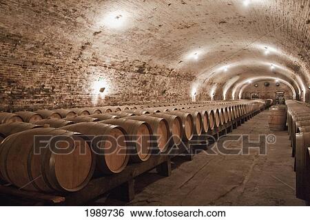 Stock Photograph - French oak barrels in the historic cellar of Vina Cousino Macul winery, Santiago, Metropolitan Region, Chile. Fotosearch