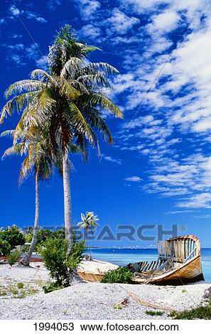 Stock Image - French Polynesia, Beach With Boat Wreck On Shore. Fotosearch