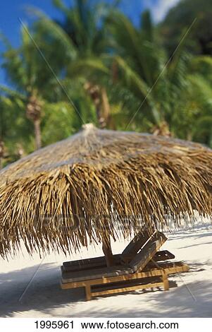French Polynesia, Bora Bora, Beach Chairs With Straw Umbrella In Tropical Setting On Sand View Large Photo Image Stock Image - French Polynesia, Bora Bora, Beach Chairs With Straw Umbrella In Tropical Setting On Sand. Fotosearch