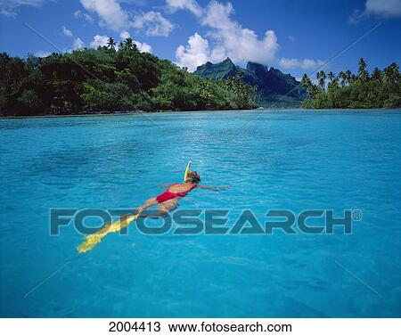 Stock Image - French Polynesia, Bora Bora, Full Length View Woman Snorkeling At Surface Calm Turquoise, Tropical Background Lagoon. Fotosearch